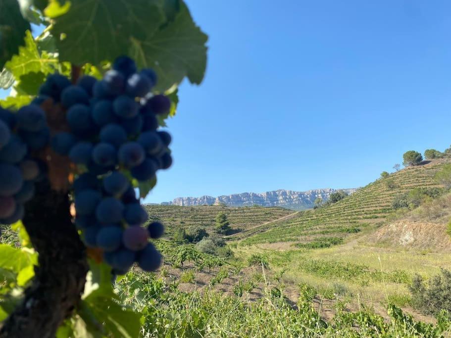 コルノデイヤVinyes Del Prioratアパートメント エクステリア 写真